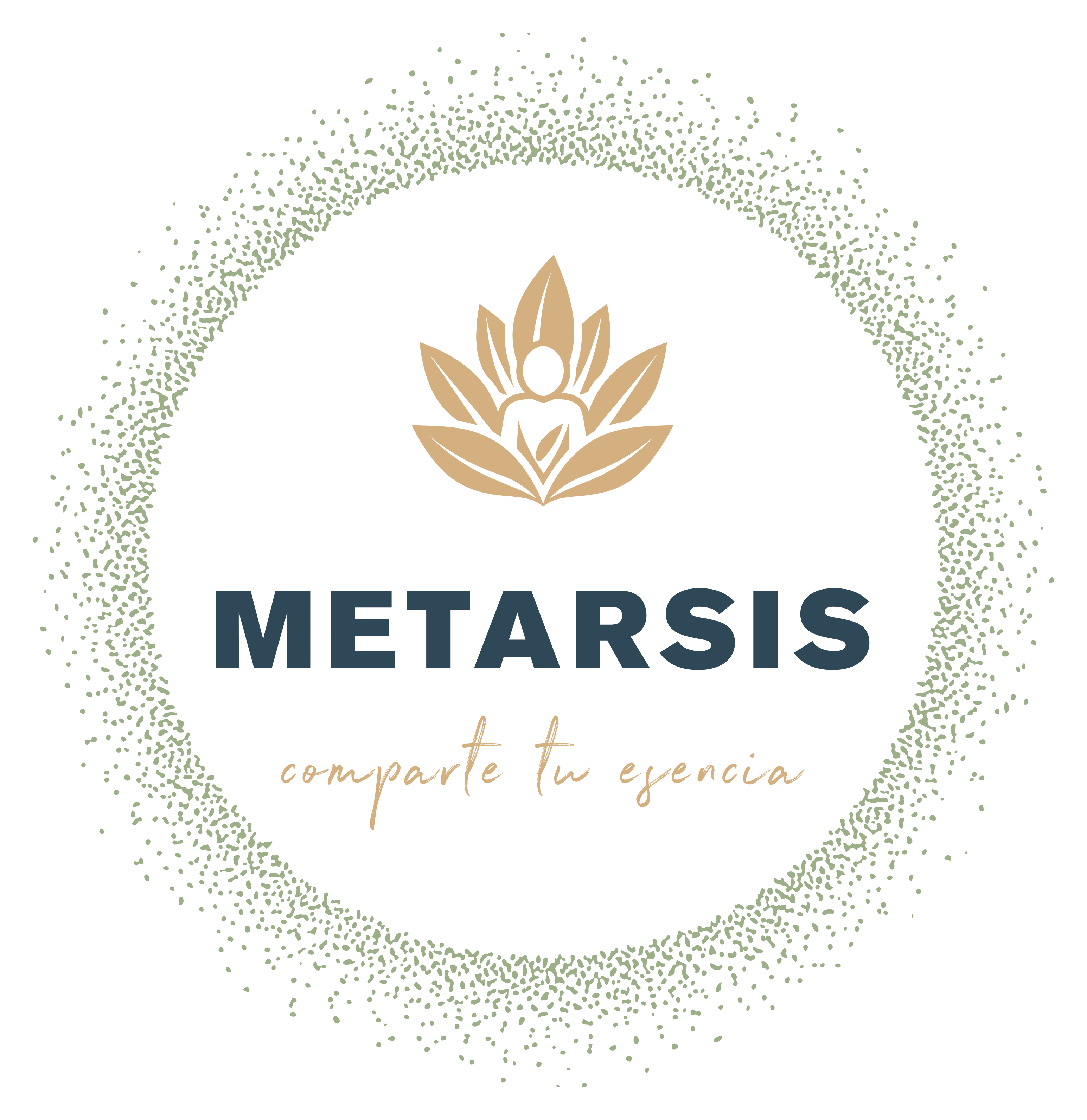 Logo Metarsis